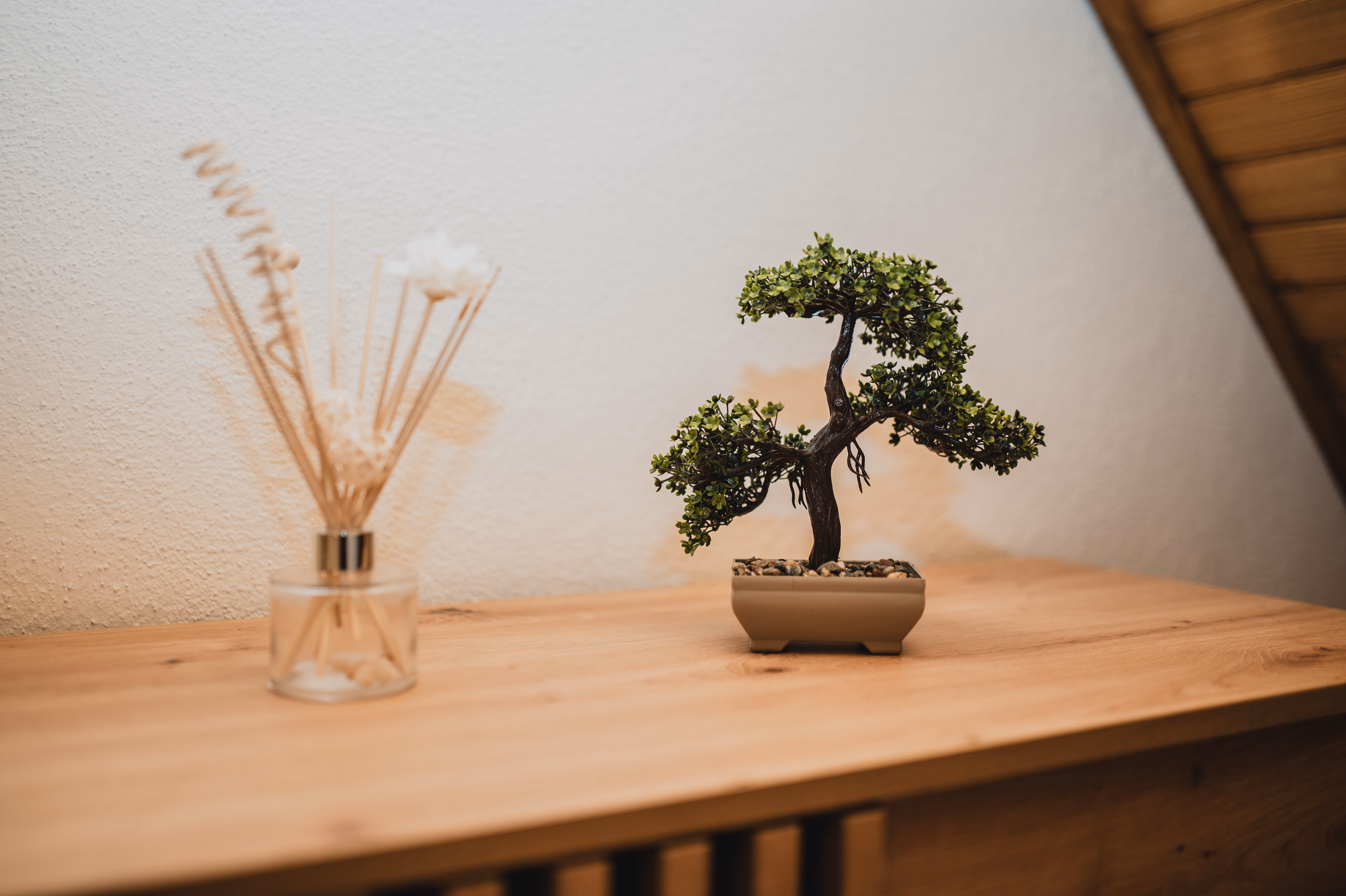 Dekorativni bonsai i difuzor mirisa - pažljivi detalji interijera
